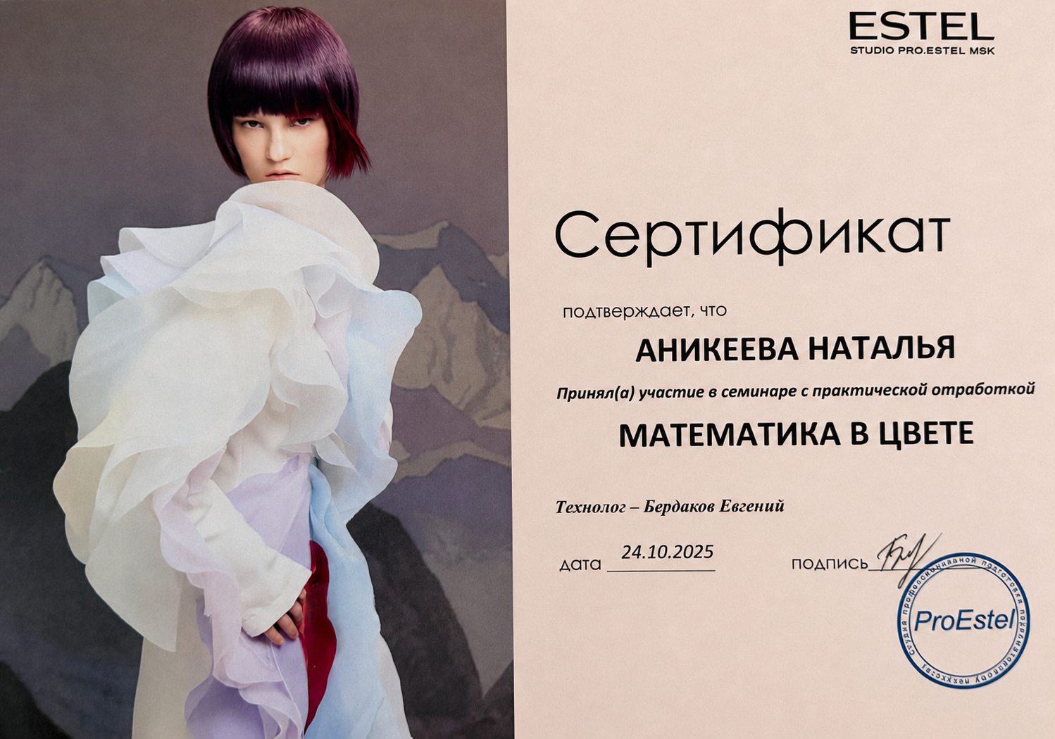 Сертификат ESTEL Математика в цвете